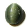 10.63ct. Excellent Apatite Cat's Eye Stone RETAIL $1050 (GEM-1410)