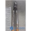Image 7 : **Garden Shears, Shelf, Toilet Cleaner