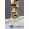 Image 2 : **17" Colorful Law of Physics Indoor Glass Galileo Thermometer