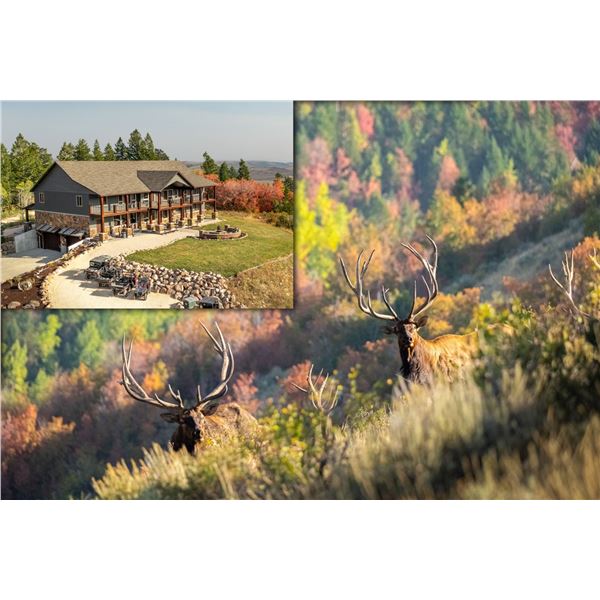 WHITE PEAKS: 3-Day Rocky Mountain Elk Hunt for One Hunter and One Non-Hunter in Idaho - Includes Tro