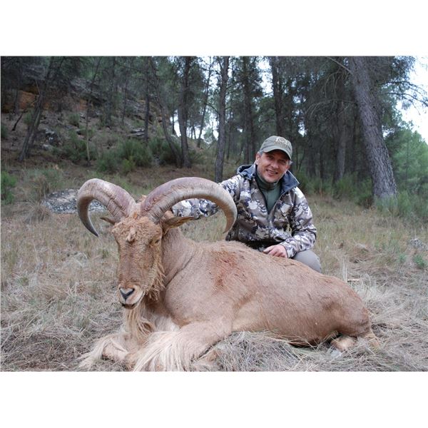 TROPHY TRAILS: 4-Day Big Game Hunt for Two Hunters and Two Non-Hunters in Spain - Includes Trophy Fe