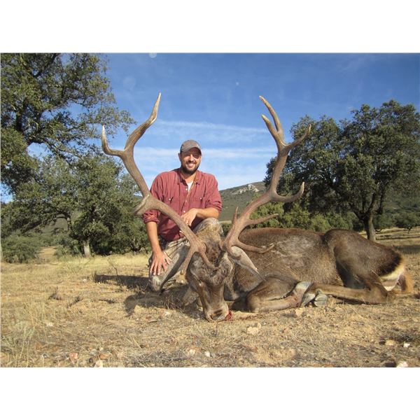 NACHO ARIAS: 8-Day Red Deer and Mouflon Sheep Hunt for One Hunter in Spain - Includes Trophy Fees