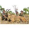 Image 1 : CLUB FAUNE: 7-Day West African Savannah Buffalo OR Roan Antelope Hunt for One Hunter and One Non-Hun