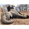 Image 1 : HUNTERS CREEK: 5-Day Tuskless Elephant Hunt for One Hunter in Zambia - Includes Trophy Fee