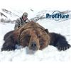 Image 1 : PROFIHUNT: 9-Day Kamchatka Brown Bear Hunt for One Hunter in Russia - Includes Best Available Bear