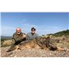 Image 1 : SAFARI INTL: 5-Day Wolf Hunt for One Hunter and One Non-Hunter in Macedonia - Includes Trophy Fee