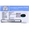 Image 4 : 919.20ct Oval Cut Green Natural Emerald GLI