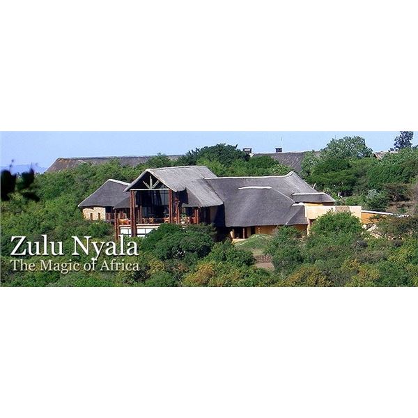 South Africa – 6 Day – Photo Safari for 2 People: