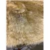 Image 2 : Pure Sheep Skin beige Plush Car seat Chair Cover
