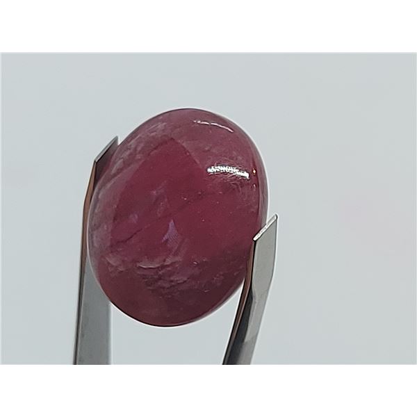 HUGE 24.88 ct. RUBY CAB