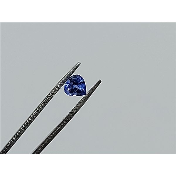 0.7 ct PRECIOUS TANZANITE