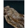 Image 3 : Unique Vintage Hand Carved African Ironwood or Led Wood Boar Sculpture 13" in Length. Original No Ba