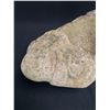 Image 2 : BC Native Stone Carving Frog