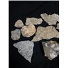 Image 2 : Lot of Fossils