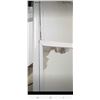 Image 3 : True White glass sliding door ice cream freezer
