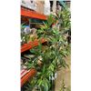 Image 2 : ARTIFICIAL BAMBOO TREE - 5 FOOT TALL