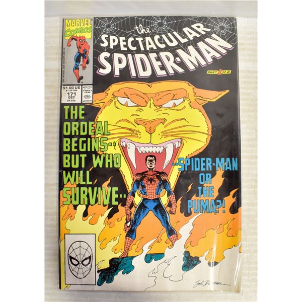 THE SPECTACULAR SPIDER-MAN 171