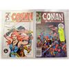 Image 1 : CONAN THE BARBARIAN #197 & 207