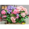 Image 1 : BOX WITH 3 QUALITY SILK FLOWER