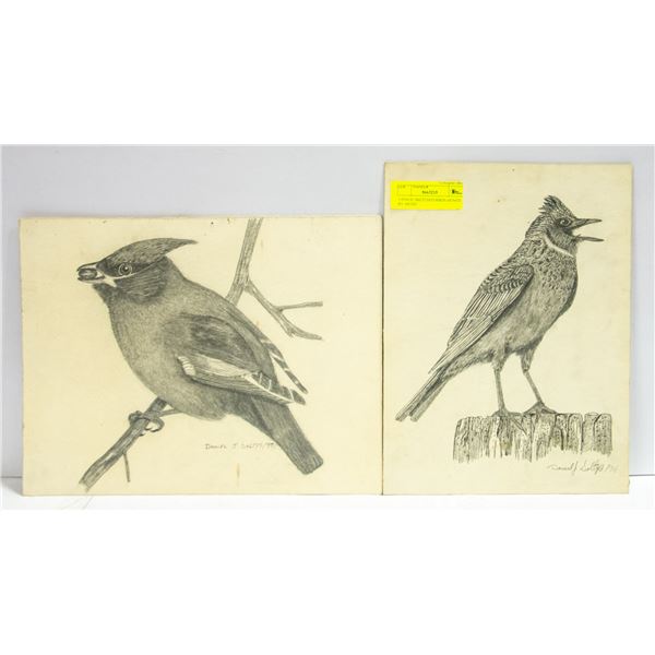 2 PENCIL SKETCHED BIRDS SIGNED BY ARTIST