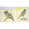 2 PENCIL SKETCHED BIRDS SIGNED BY ARTIST