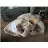 Image 1 : Sabre Tooth Tiger Skull Replica