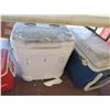Image 2 : 3-Igloo, Coleman, Coca Cola Coolers - 3 X $