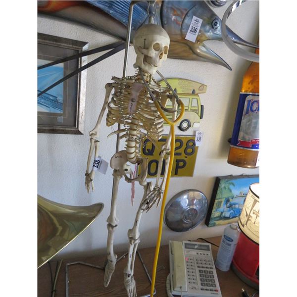 Skeleton Décor