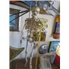 Image 1 : Skeleton Décor