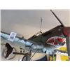 Image 2 : Mustang Model Airplane