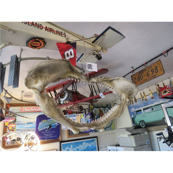 Shark Jaws