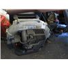 Image 1 : Echo PB603 Gas Blower