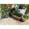 Image 1 : 8-Asst. Potted Tree/Plant - 8 X $