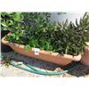 Image 2 : 8-Asst. Potted Tree/Plant - 8 X $