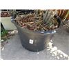 Image 2 : 13-Tall Potted Bush - 13 X $