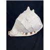 Image 2 : Beautiful Large Conch Shell with Dancing Hawaiian Girl Figurine