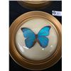 Image 2 : Lot of 2 Framed 3D Butterfly Pictures in Round Frames - 9" Diameter