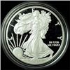 Image 1 : 2015-W Silver Eagle