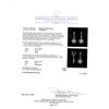 Image 4 : 0.60 ctw Diamond Earrings - 14KT White Gold