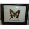 Image 8 : Pewter Bookends, Dispencer, Framed Butterfly