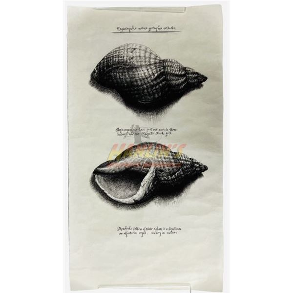 Dracula Untold (2014) fluffy jacket dracula