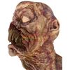Image 5 : Black Friday (2021) - Angry Gran (Peg Holzemer) Mutant Head Appliances