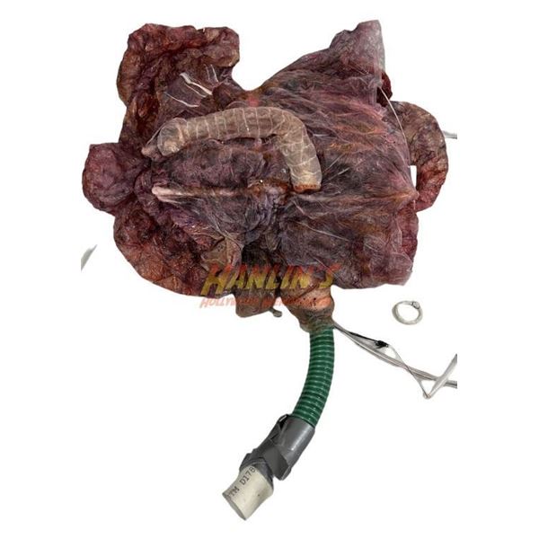 Cold Mountain (2003) - Jude Law Stunt Gun with Attachable Stock