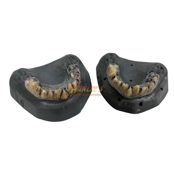 A Scanner Darkly (2006) - Ernie Luckman (Woody Harrelson) Weed Box