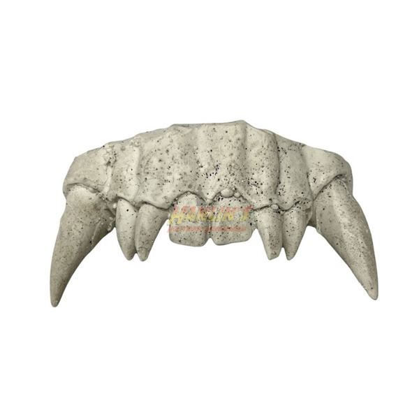 A Scanner Darkly (2006) - 3 Confidential Files