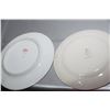Image 3 : CPR plates - has chips