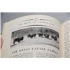 Image 3 : Book of animals