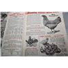 Image 2 : 1951 Chicken catalog