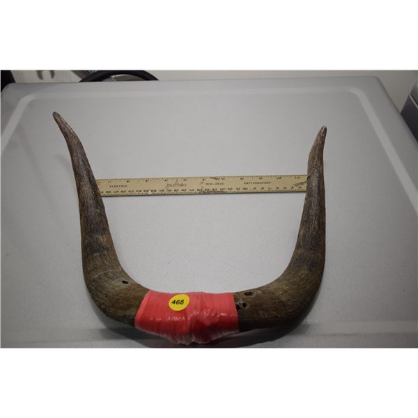 set of horns