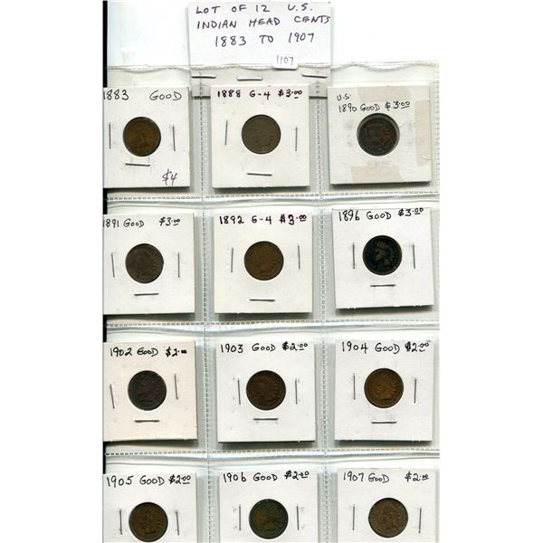 Lot of 12 U.S. Indian Head Cents 1883 to 1907. Includes 1883, 1888, 1890, 1891, 1892, 1896, 1902, 19